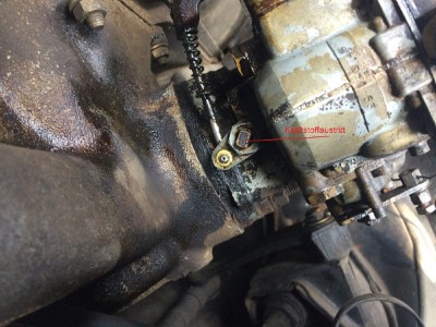 Foto 25.09.16, 10 05 21.jpg