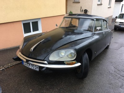 Croco Elle sapelle2.jpg