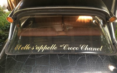 Croco Elle sapelle.jpg