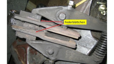 Federblättchen.jpg
