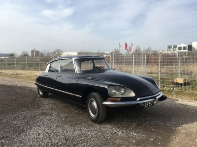 IMG_3464_cp - Kopie.JPG