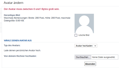 DS-Forum Avatarfehler.png