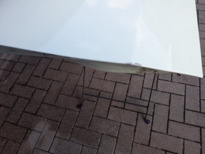 20230319_125434 (FILEminimizer).jpg