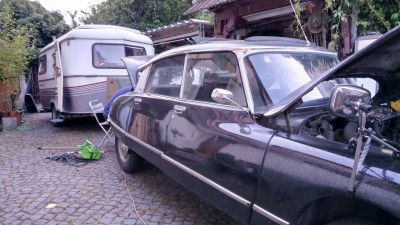 Spiegel MG_20230622_212955_4.jpg