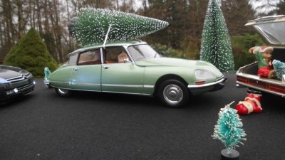 DSCI0273 (FILEminimizer).JPG