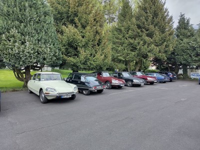 IMG_20240420_151134 MV.jpg