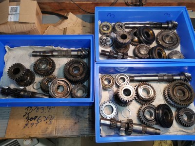 Zahnräder sortiert.jpg