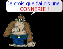 connerie.jpg