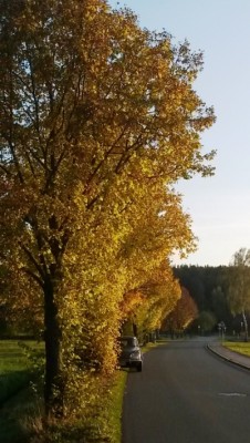 20151026_Herbst.jpg