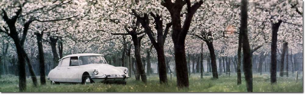 Citro�n DS 19, 1963